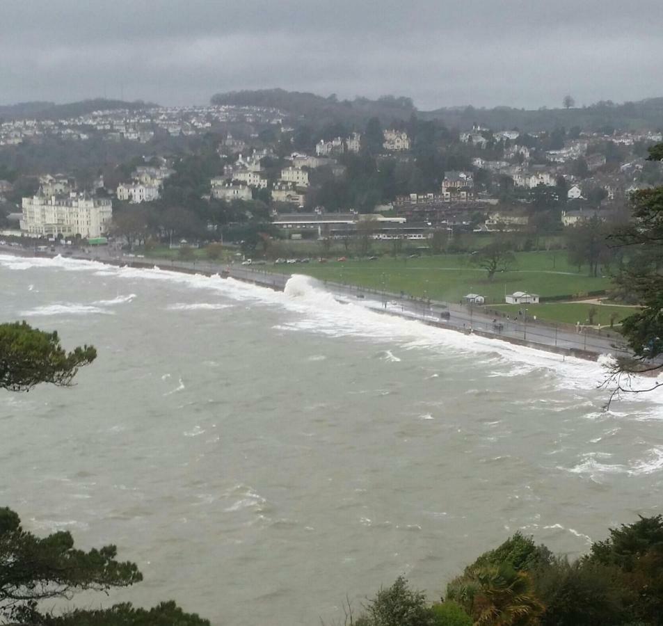 Appartement Panoramic Sea Views, Sleeps 4, Torquay Extérieur photo